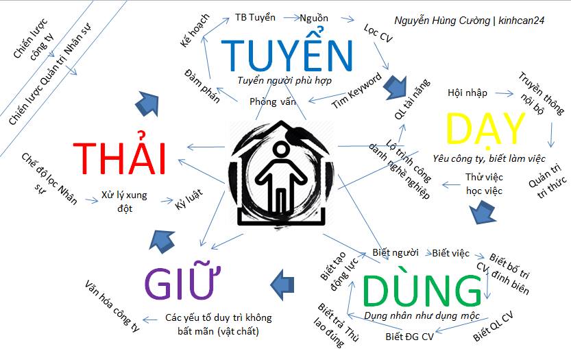 Kỹ năng chuyên môn vững chắc